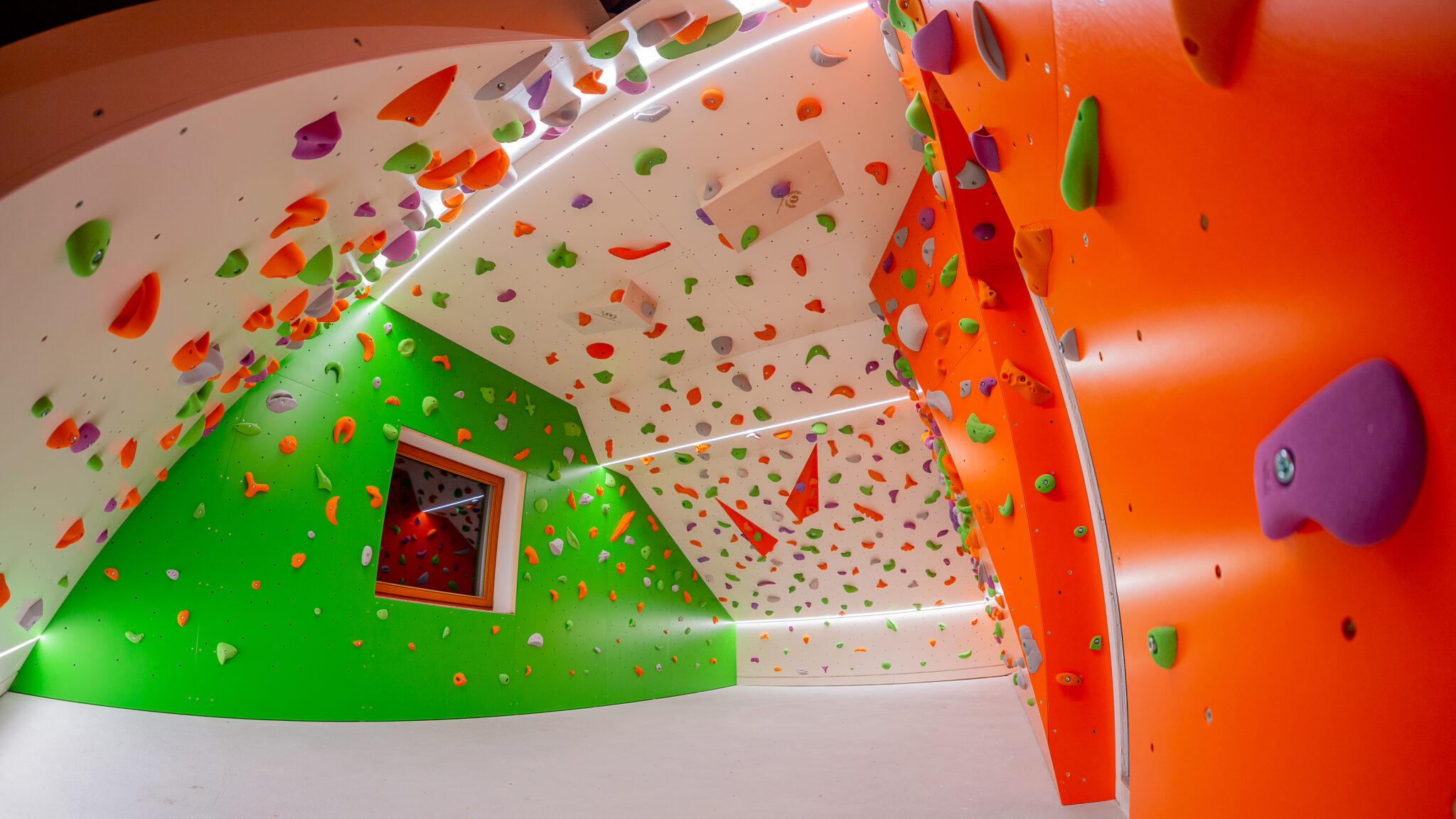 Nizka plezalna stena, domača